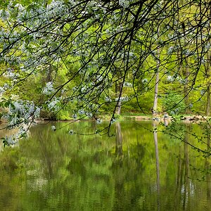 eifel impression 2