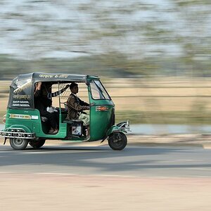 Baby Taxi auf großer Fahrt
2351