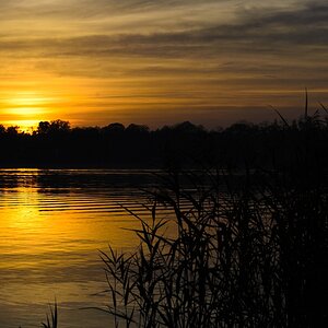 comp D7T 3209

Sunset am Scharmützelsee Landkreis Oder Spree
Oktober 2012

objektiv: Tamron SP AF 17-50mm F/2.8 XR Di II VC
