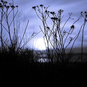 Blauer Morgen