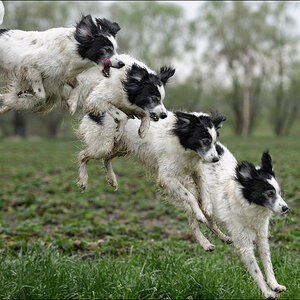 jump