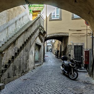 TZ DSC 4779
