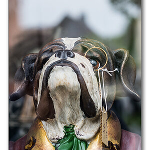 im schaufenster2