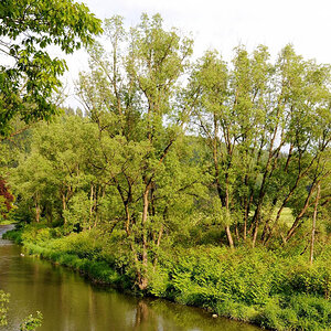 Wildshausen DSC 1353 11533 01