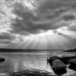 comp DSC 2025 SW