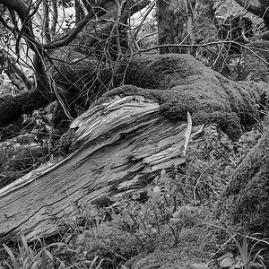 20130509 5444 [NIKON 1 V1] 30.9 mm,1 60 Sek. bei ƒ   4,5