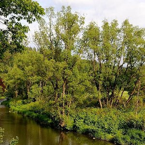 Wildshausen neuWildshausen DSC 1353 11533 729