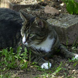 DSC 0073