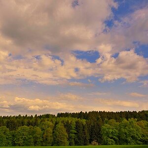 Waldrand 02
