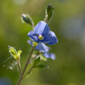 28221024blau