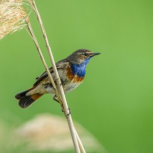 20130609 1408 [NIKON D7100] 850 mm,1 500 Sek. bei ƒ   8,0