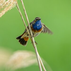 20130609 1407 [NIKON D7100] 850 mm,1 500 Sek. bei ƒ   8,0