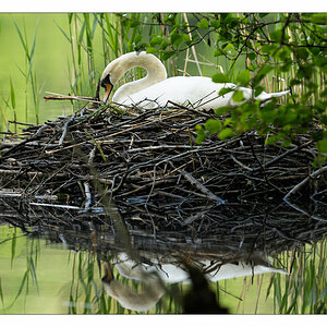 2013 05 18 DSC 7714 w