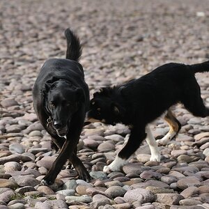 2013 05 09 3714 D 3S A
