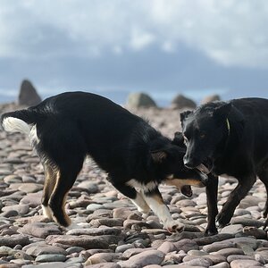 2013 05 09 3747 D 3S A