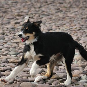 2013 05 09 3728 D 3S A