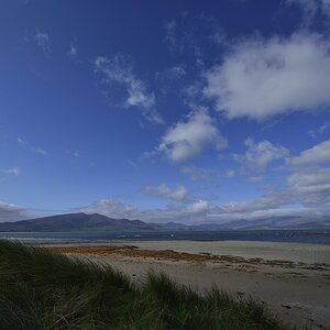 Dingle
