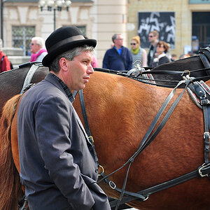 DSC 1128 Fiaker