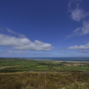 Dingle