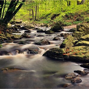 Maibach