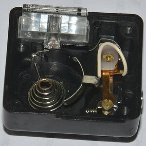 DSC 8081