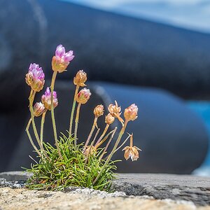 20130510 8950 [E M5] 45 mm,1 320 Sek. bei ƒ   6,3