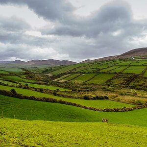 Dingle 1