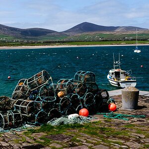 Dingle 2