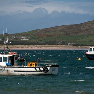 Dingle 3
