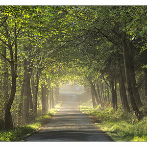 2013 05 08 DSC 7640 w