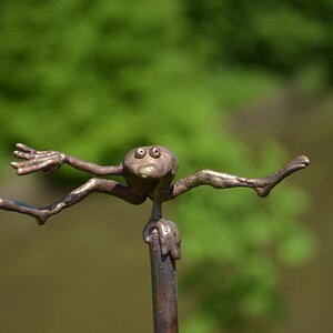 Frosch beim Trimm Dich
Flachsmarkt Krefeld Linn 2013