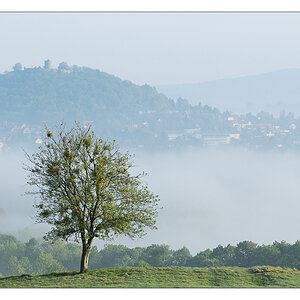 Der Blick nach Homberg a30900989