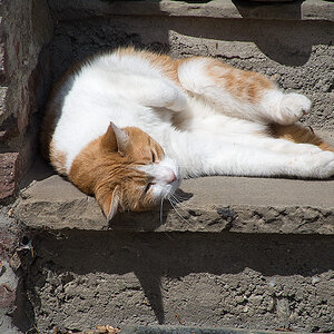 20130509 DSC 1537 Bearbeitet