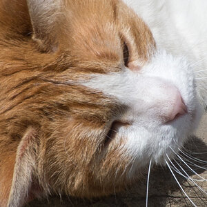 20130509 DSC 1537 Bearbeitet Crop