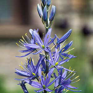 20130509 DSC 1523 Bearbeitet