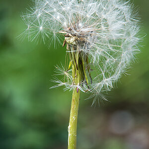 20130509 DSC 1529 Bearbeitet