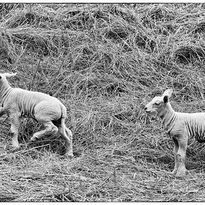 JungDSC 1663