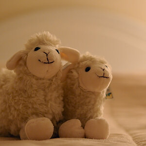 2013 05 12 5013 D 3S A
