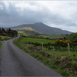 rossbeigh5