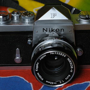 Nikjon F