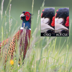 Fasan 1426 Vergleich CNX2ACR