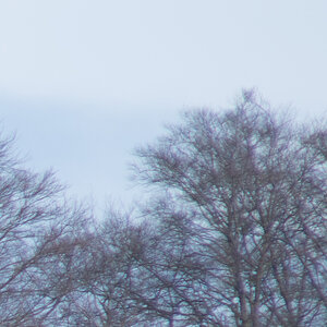 200mm 4 ais 56 rechts oben