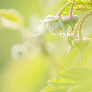 20130530 185811