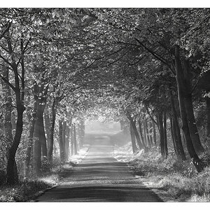 2013 05 08 DSC 7640 sw w