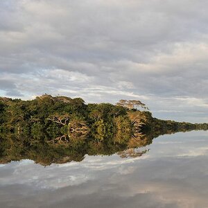 Spiegelung
Rupununi bei Karanambu
2400