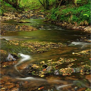 Am Bach