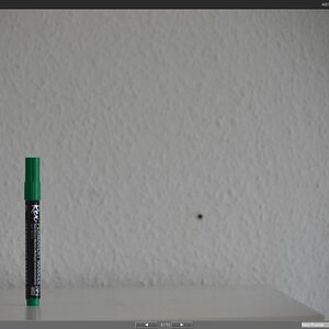 Fokus002