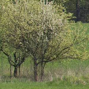 180mm 28 ais 80 rand rechts 9971