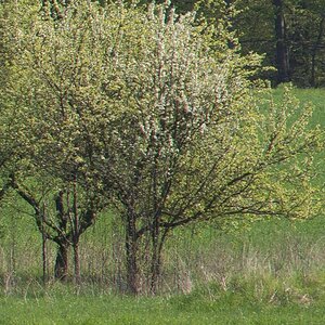 180mm 28 ais 80 rand rechts 45 08 100 9971
