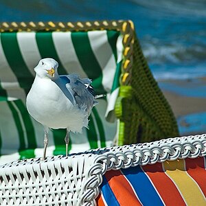 comp Ostseeimpression II